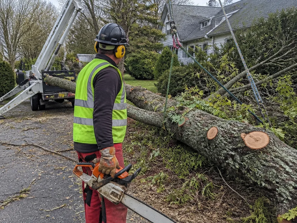 Storm Damage Tree Removal